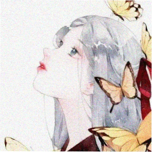 观众头像 海边的风